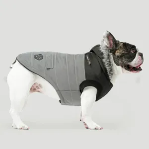 Canada Pooch True North Parka Reflective