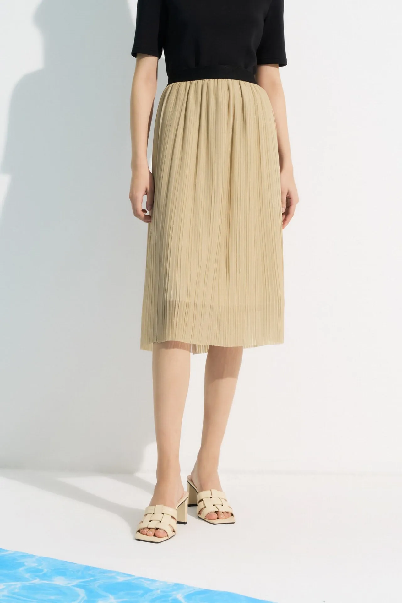 Pleated Flare Skirt