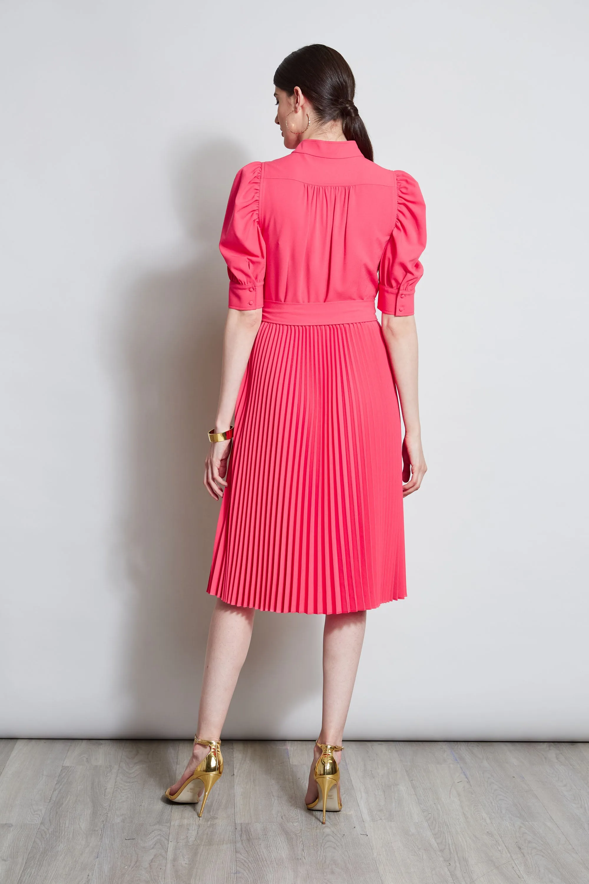 Pleated Ruched Sleeve Dress