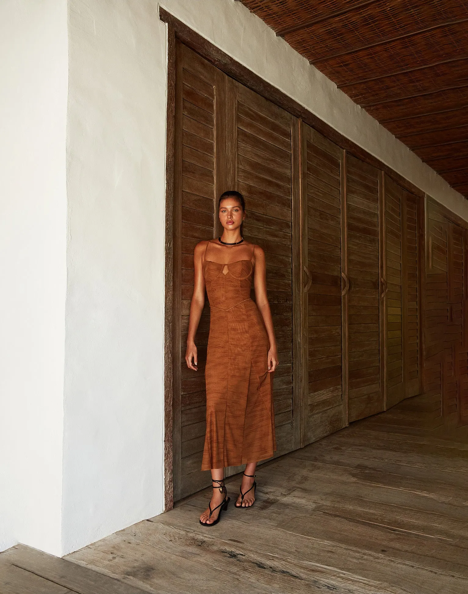 Sheer Maya Long Dress (exchange only) - Gingko