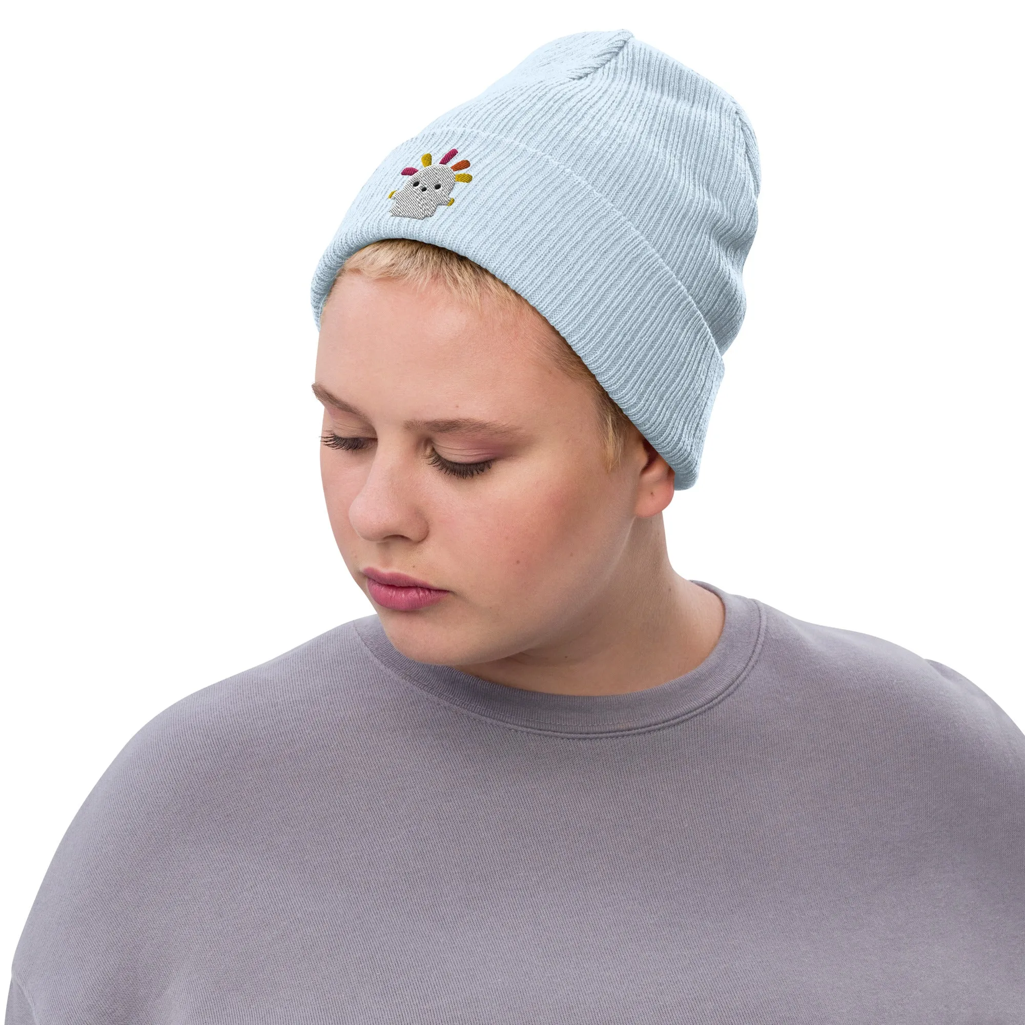 Squeakoid | Ribbed knit beanie | Animal Crossing