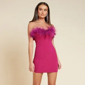 Sweet Feather Tube Mini Dress